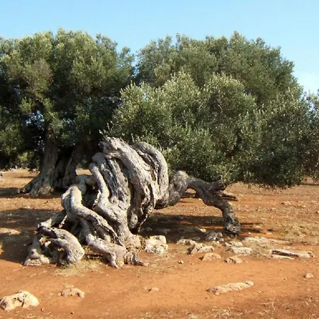 Casa Jole Lägenhet *